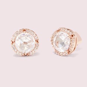 Rose Gold Round Crystal Earrings - a new day